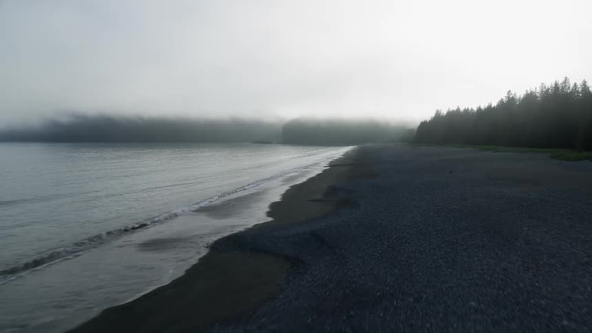 Aerial view of black sand beach near pine forest at sunrise