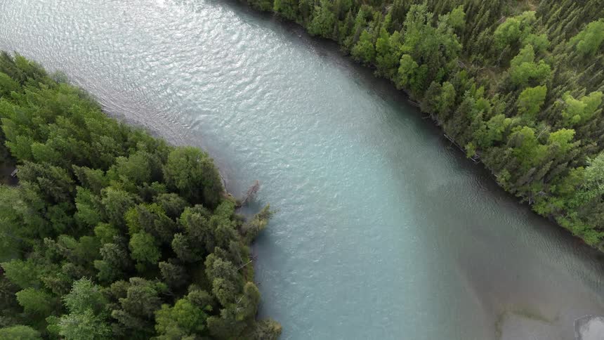 The river is lined with tall trees