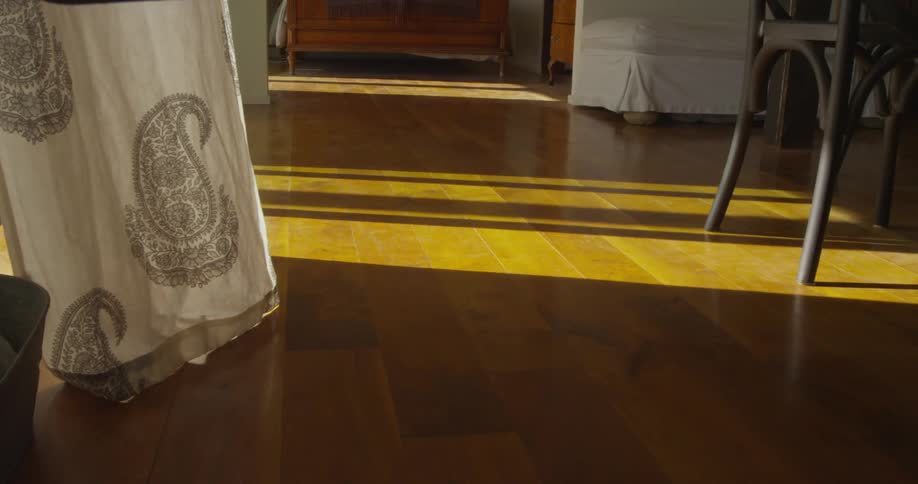 Wind blows on a curtain in a house