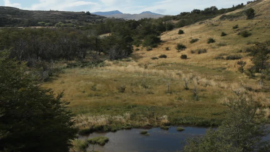 A small pond sits by a field with hills all around