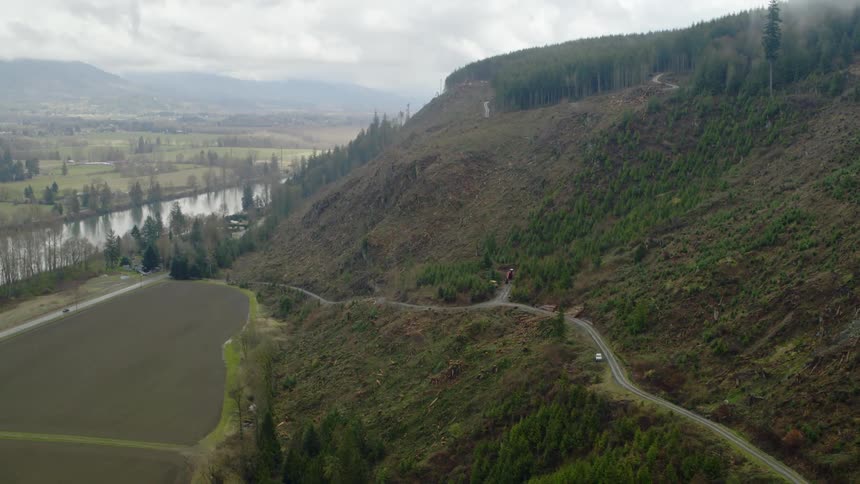 Roads curve and wind up the slope of a hill that has been partially cleared of trees