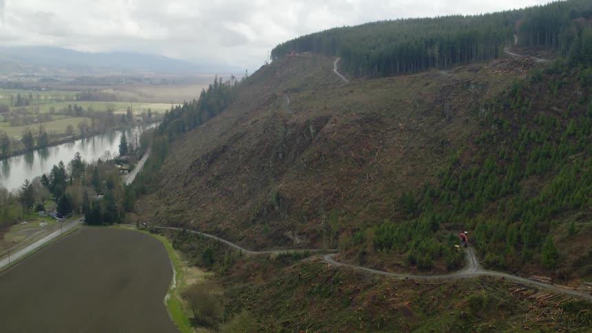 Aerial view of a forest on mountain while raining