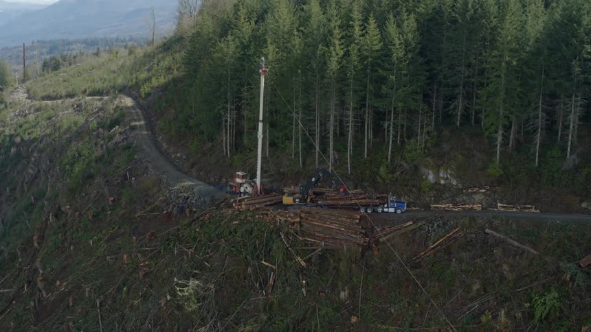 Logs are loaded onto semi trailer on mountain road near forest
