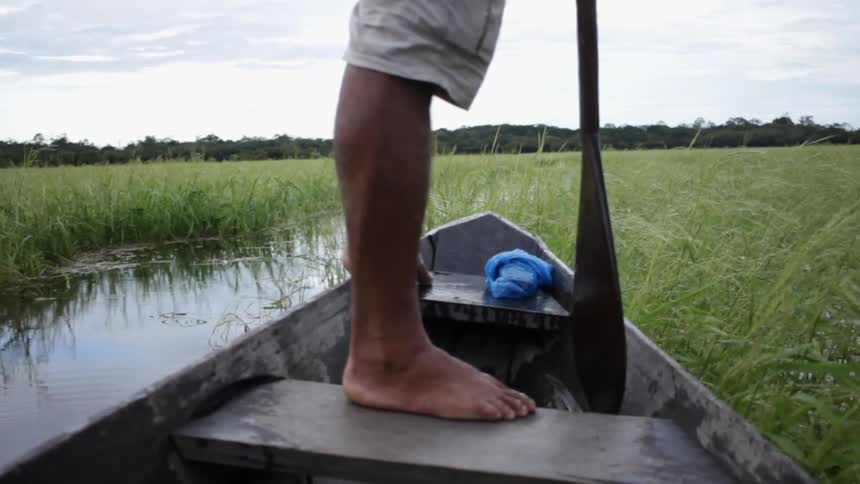 A man is steering a boat through a swamp
