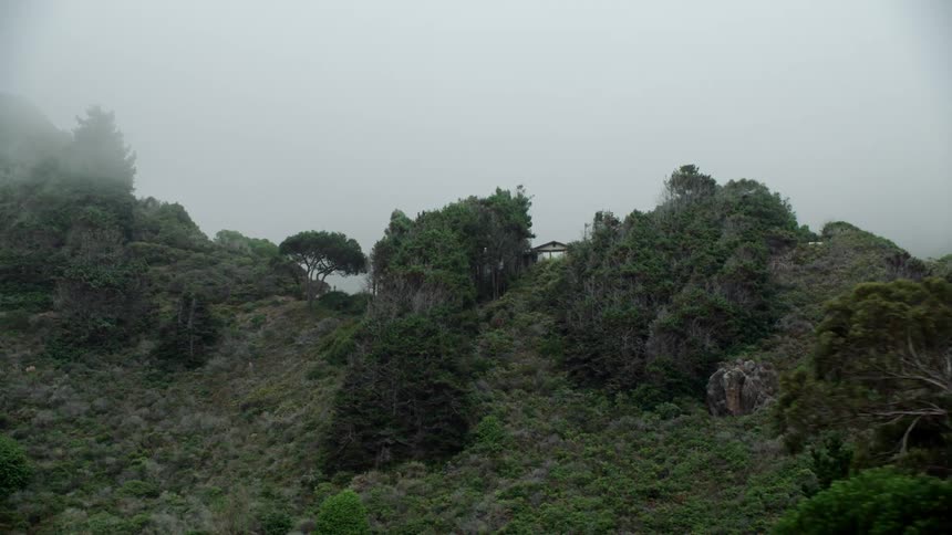Fog moves across the land