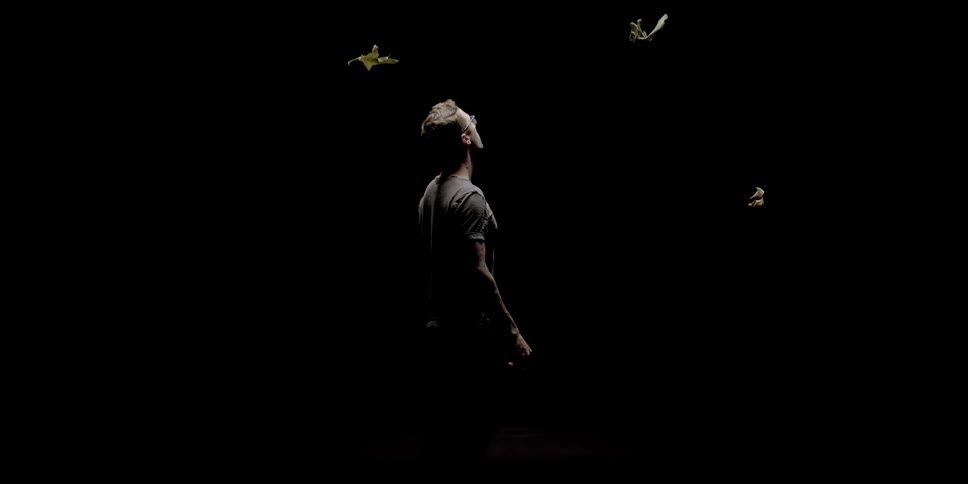 A man stands in the dark and looks at leaves falling