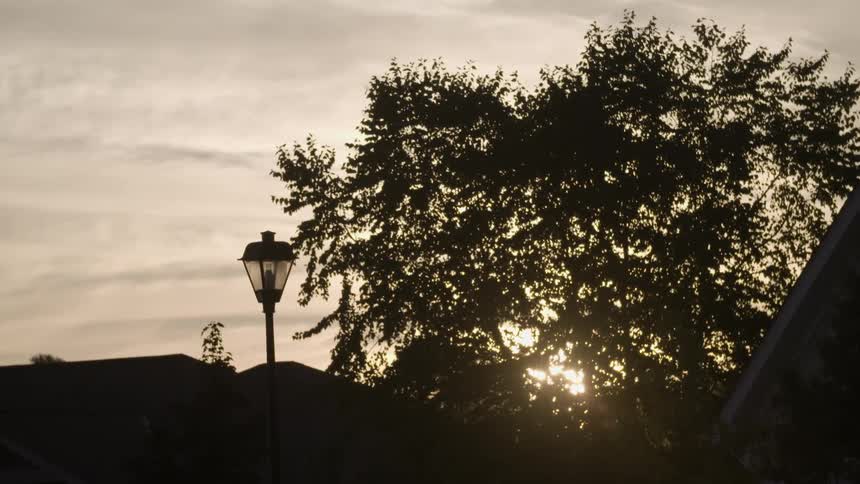 The sun setting behind a tree in a neighborhood