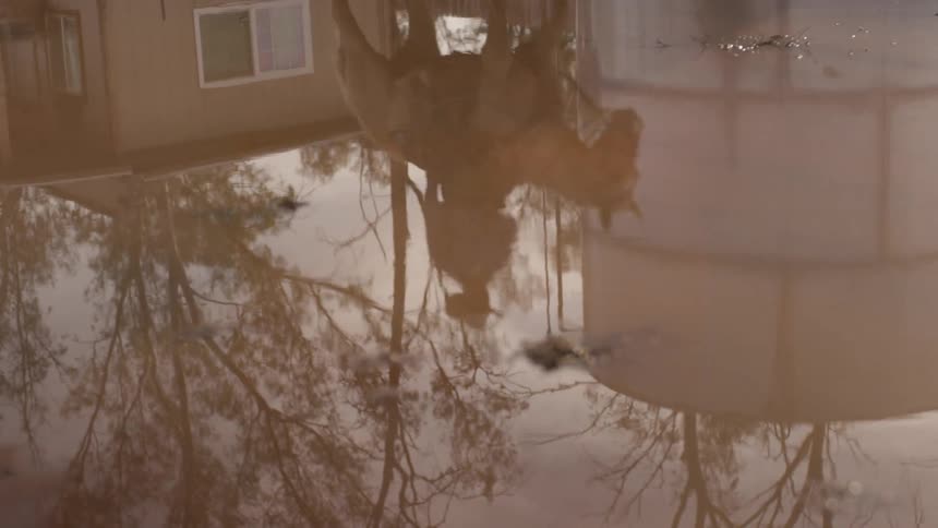 A reflection of a man riding a horse