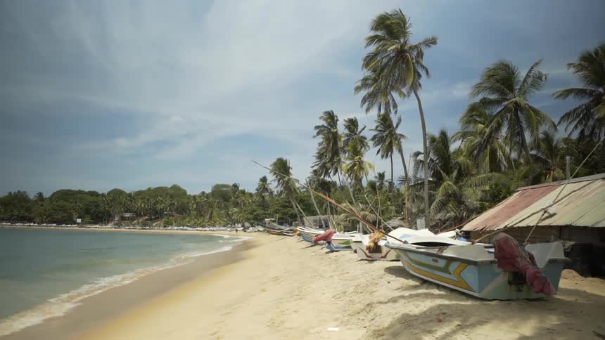 Boats lined up on sand near the shoreline at the beach near palm trees