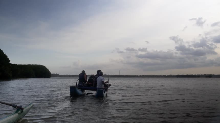 Four people row a boat out on a body of water