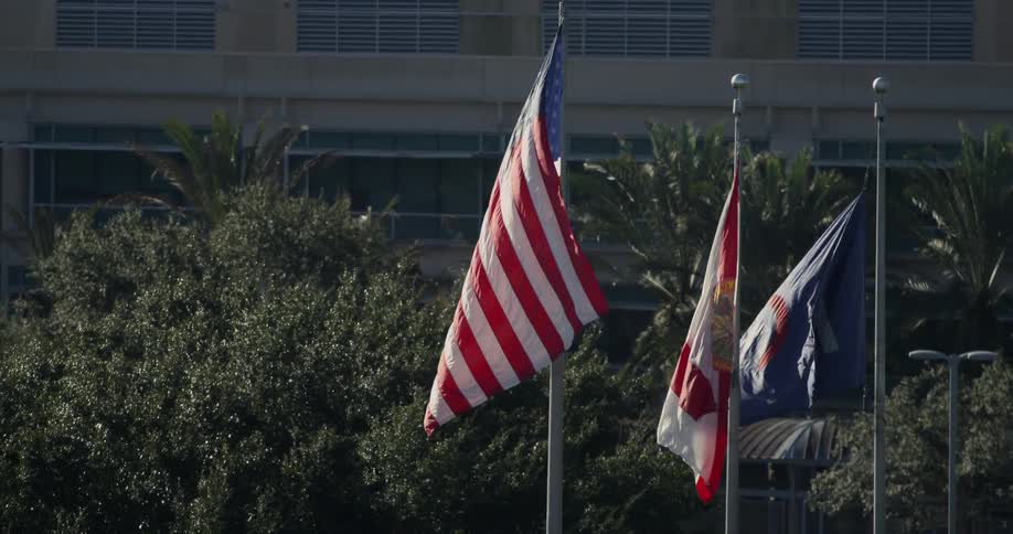 Flags billow in the wind