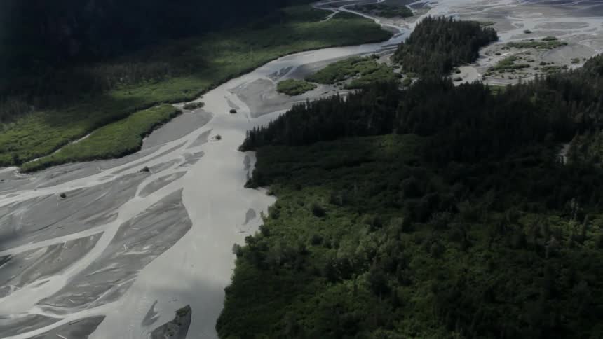 Alaskan Oceanview