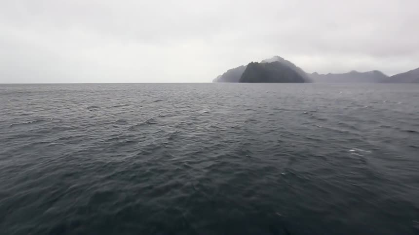 Alaskan Oceanview