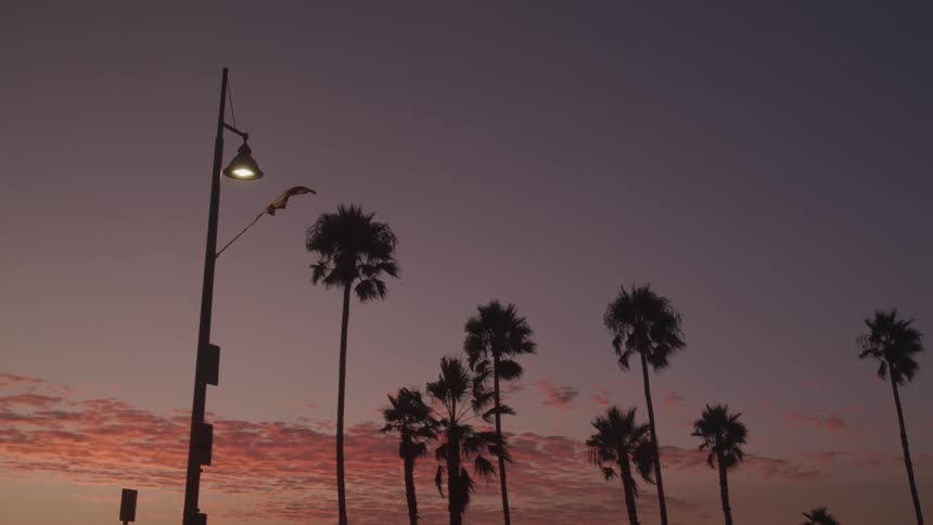 Flag flying near lamp post and palm trees at sunset