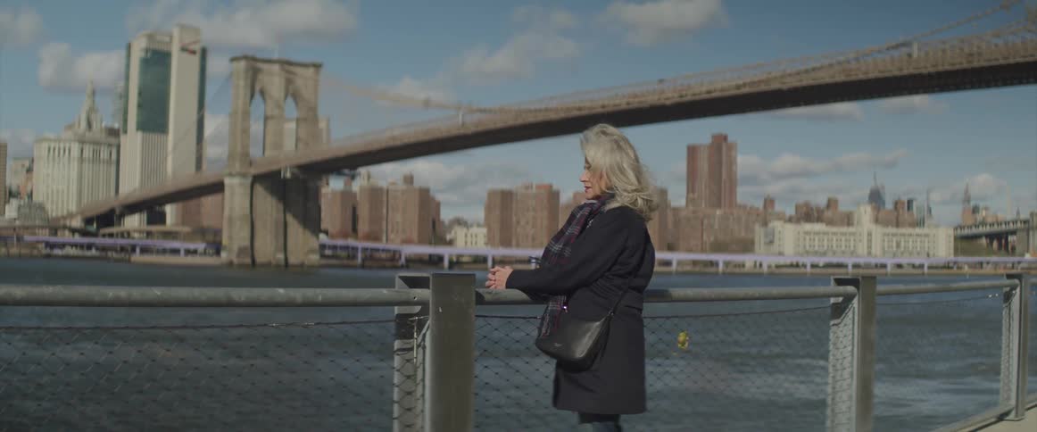 A woman stands along the fence beside a city bridge and lake or river