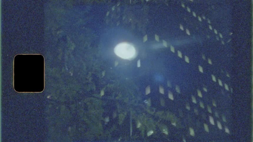 A street light burns amidst a tree in a downtown area