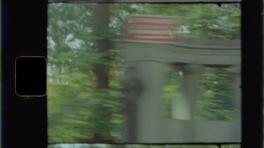 Trees going by outside of a car window