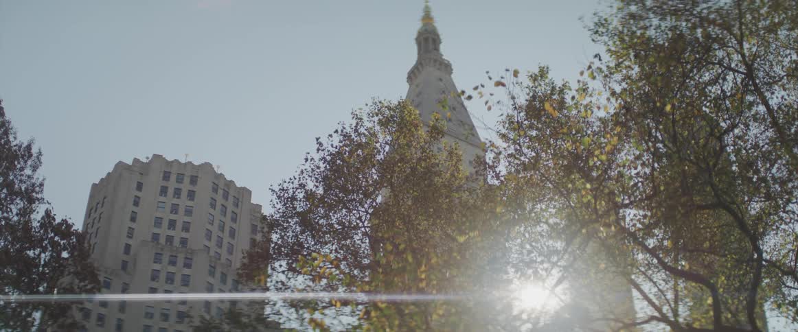 The sun shines through trees in the public park