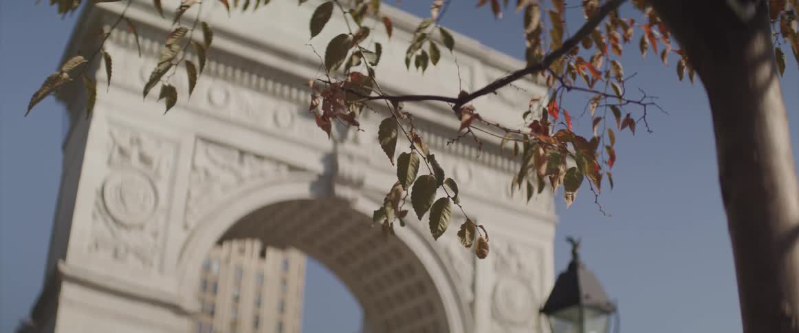 The arch is near the tree