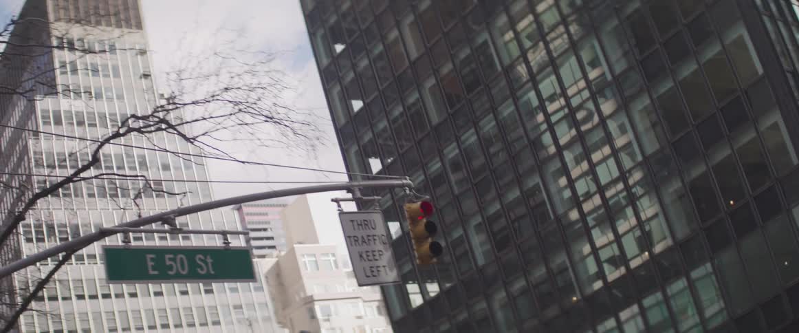 A city with signs a traffic light and buildings in the background