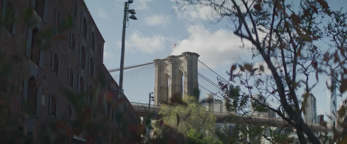Trees blowing in the wind with a bridge and buildings in the background