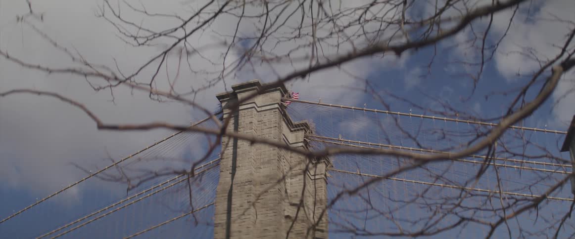 Suspension bridge tower with flag shows through leafless tree branches