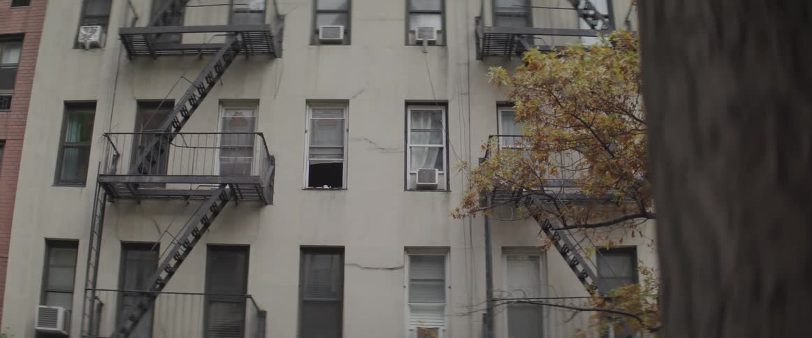 Tree with fall foliage stands near apartment building with fire escapes