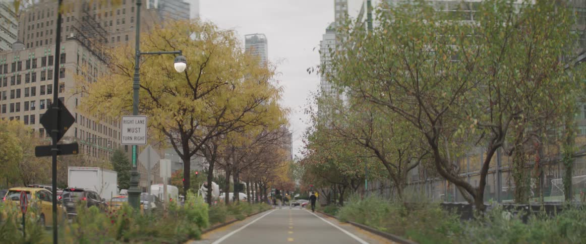 City street with trees on each side leads to an intersection with a van going by