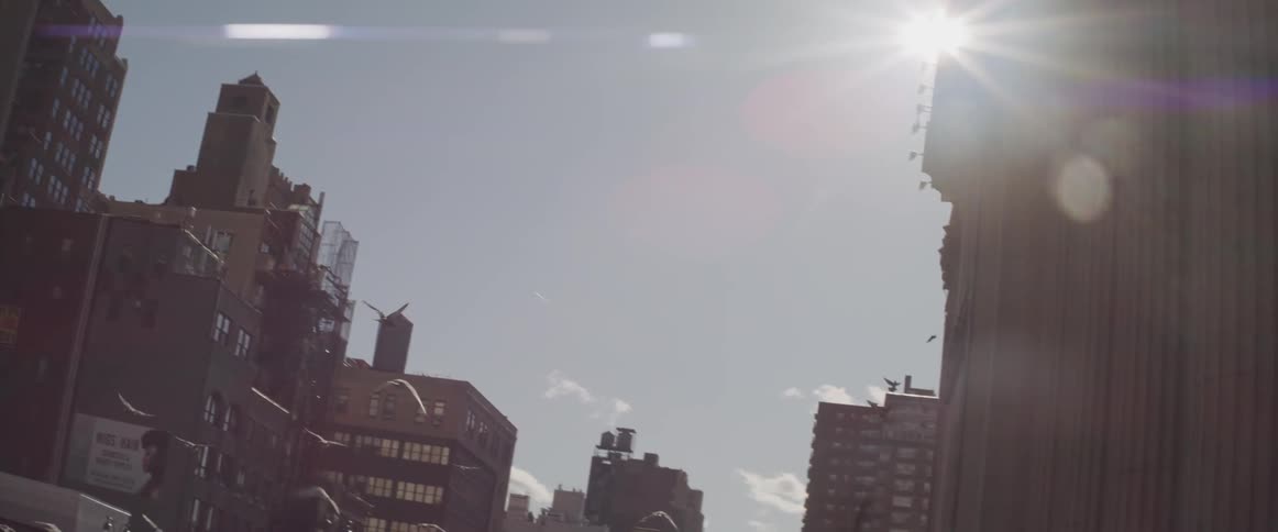 Birds flying between buildings in a city on a sunny day
