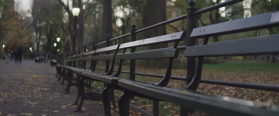 People are walking in the distance in the park
