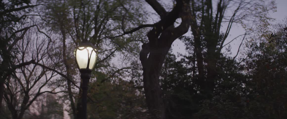 A lamp post in a neighborhood turns on as night sets over a tree filled park