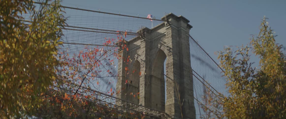 A suspension bridge rises up behind several trees