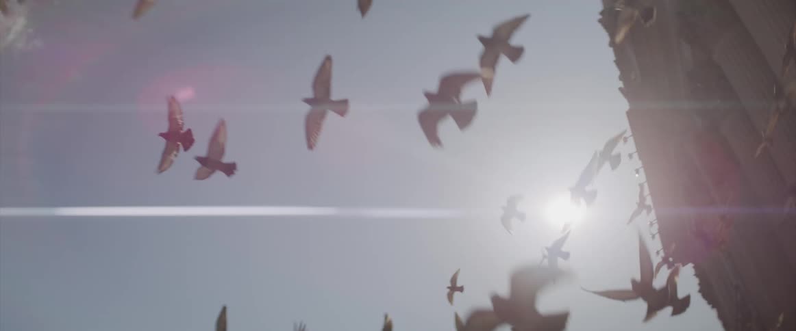 A flock of pigeons fly over a plaza with a columned building on a bright sunny day