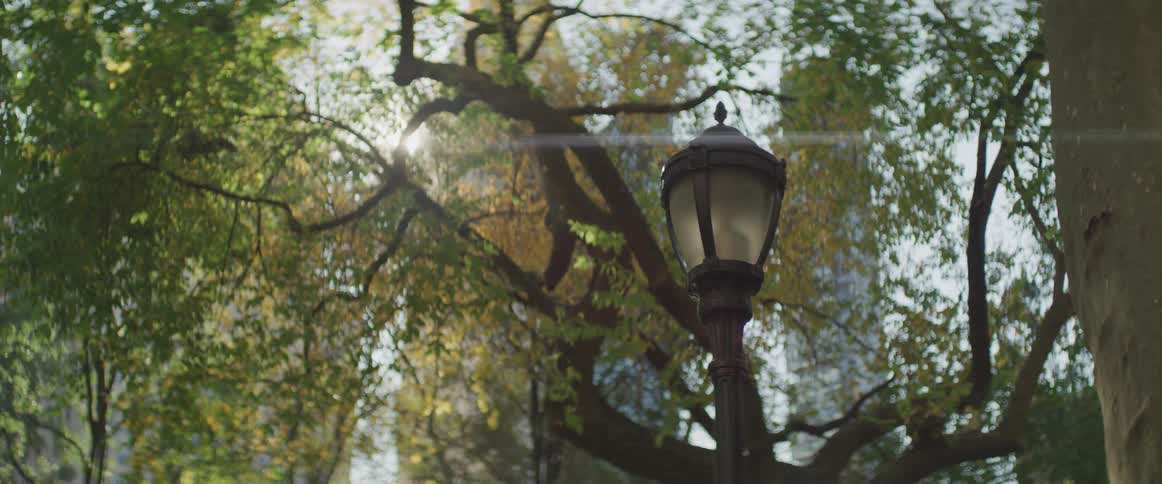 A lamp post in a city park with the sun shining and glaring through the trees