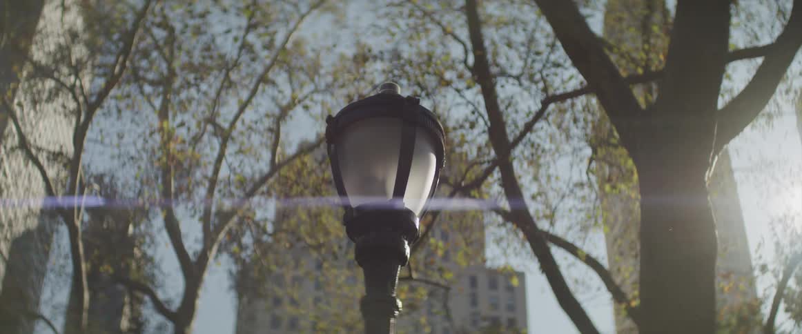 A lamp post in a city park with trees and building behind on a bright sunny day
