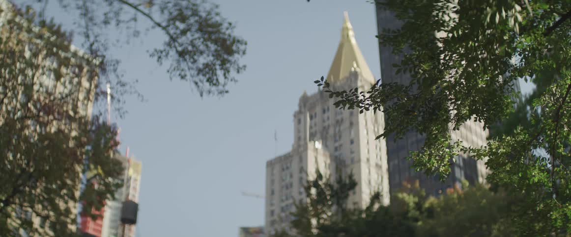 The building stands tall