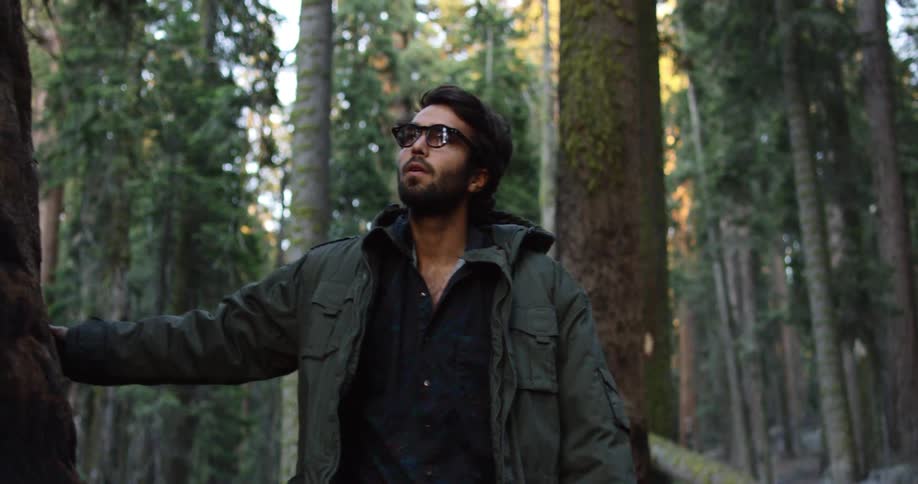 A man walks through a forest