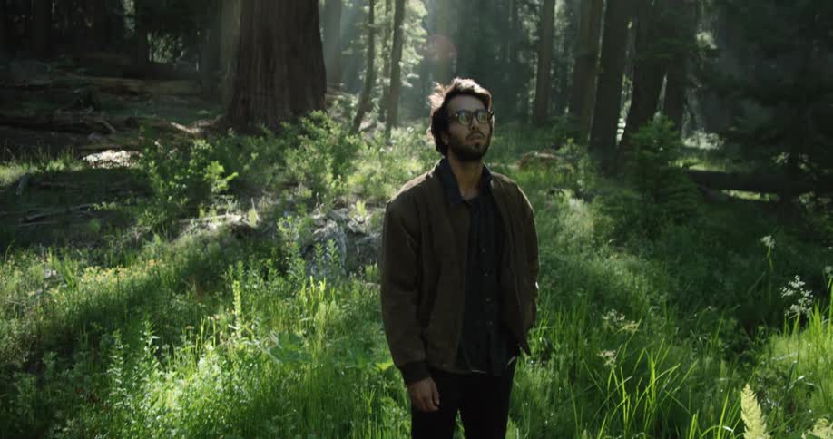 A man stands on a log in a heavily wooded area
