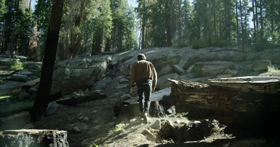 Man walks in the forest