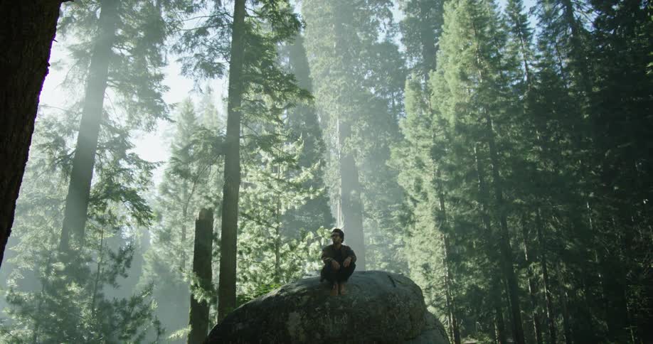 Man sits on a large rock in the dense dark forest