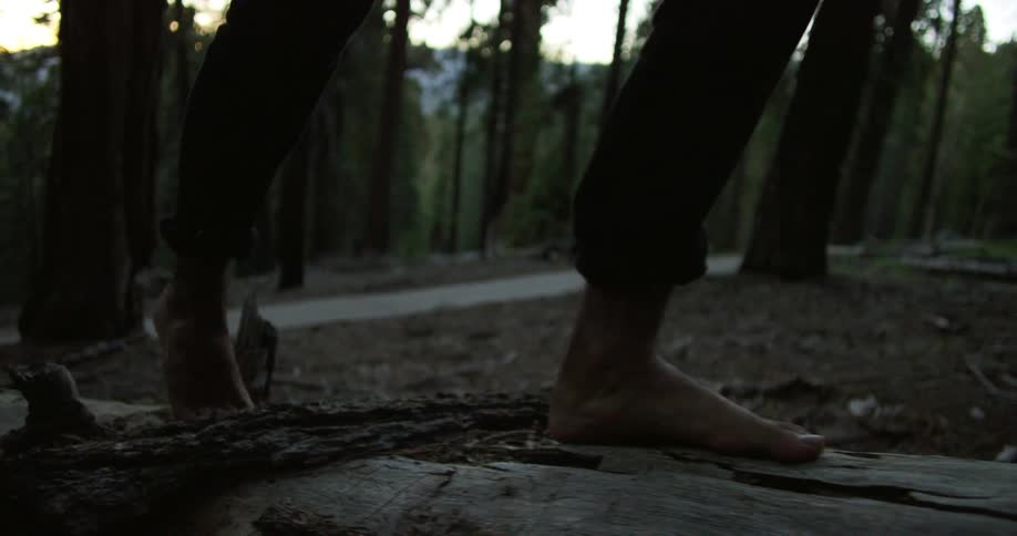 Close up of a person walking barefoot on a fallen tree trunk in the forest