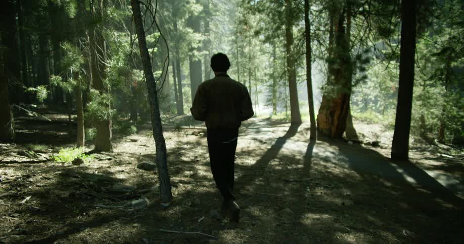 A man walks through a forest