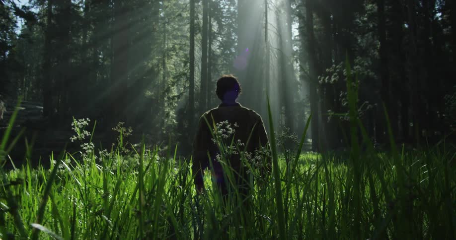 A person is hiking in the woods