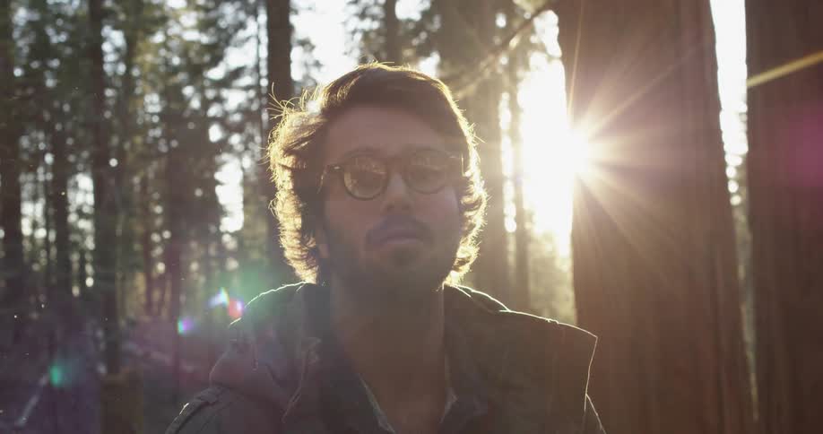 Sunlight illuminated dust particles as they swirl around a man standing in a woodland