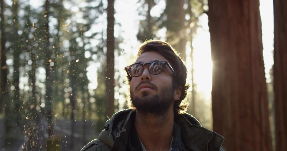 A man looks up at the trees