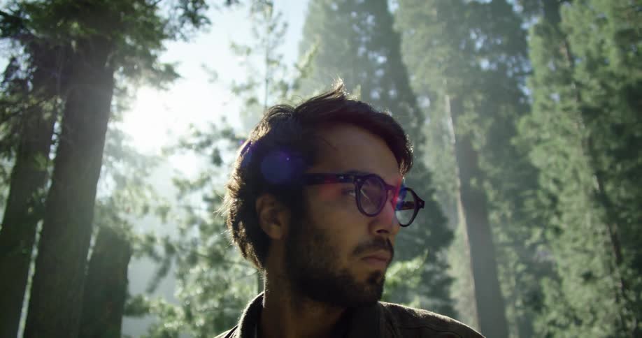 A man stands in the forest and looks up at the trees around him