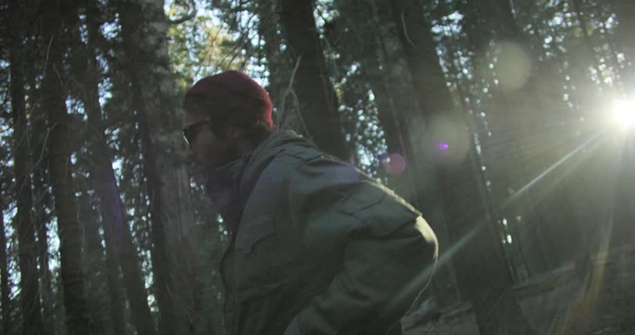A man walks through a forest