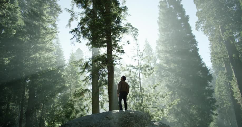 A man stands on a rock and looks around the forest