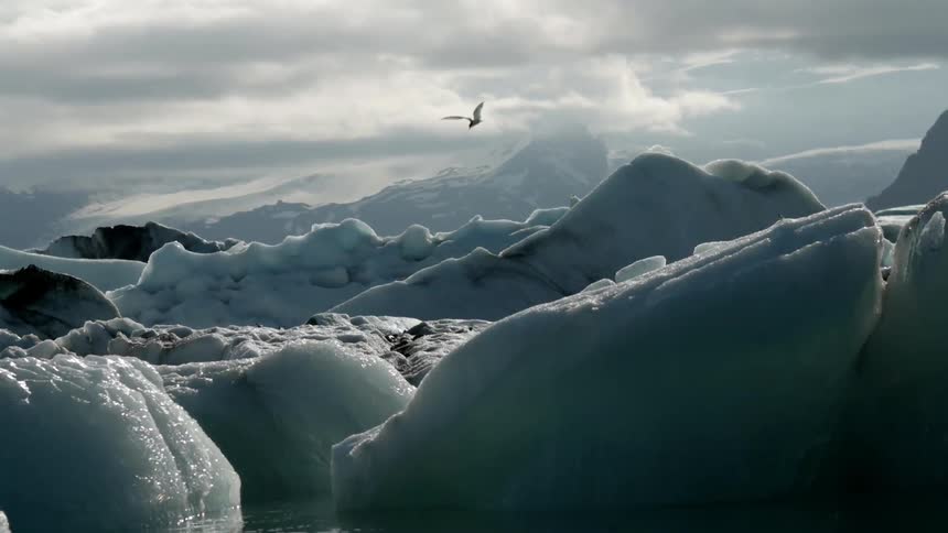 Birds are flying above ice on a cloudy day