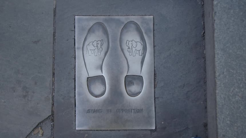 A plaque on the ground